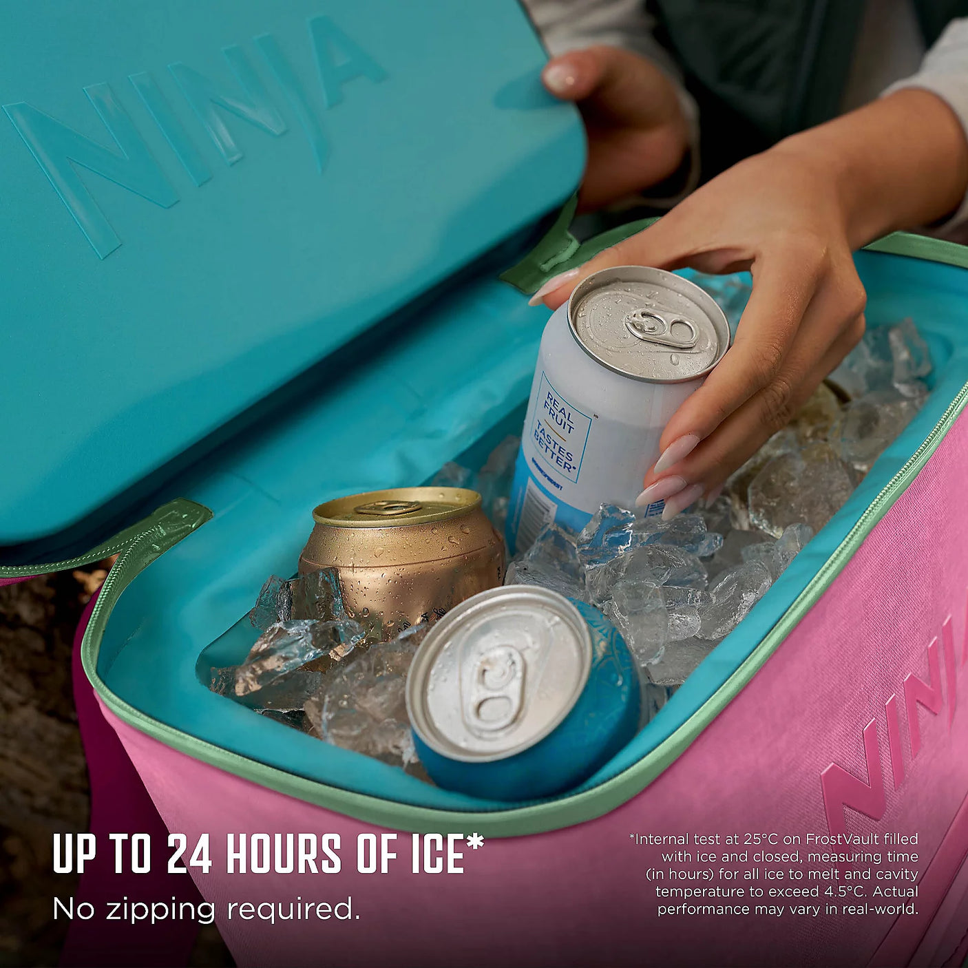Ninja FrostVault Go 17L Cooler BackPack
