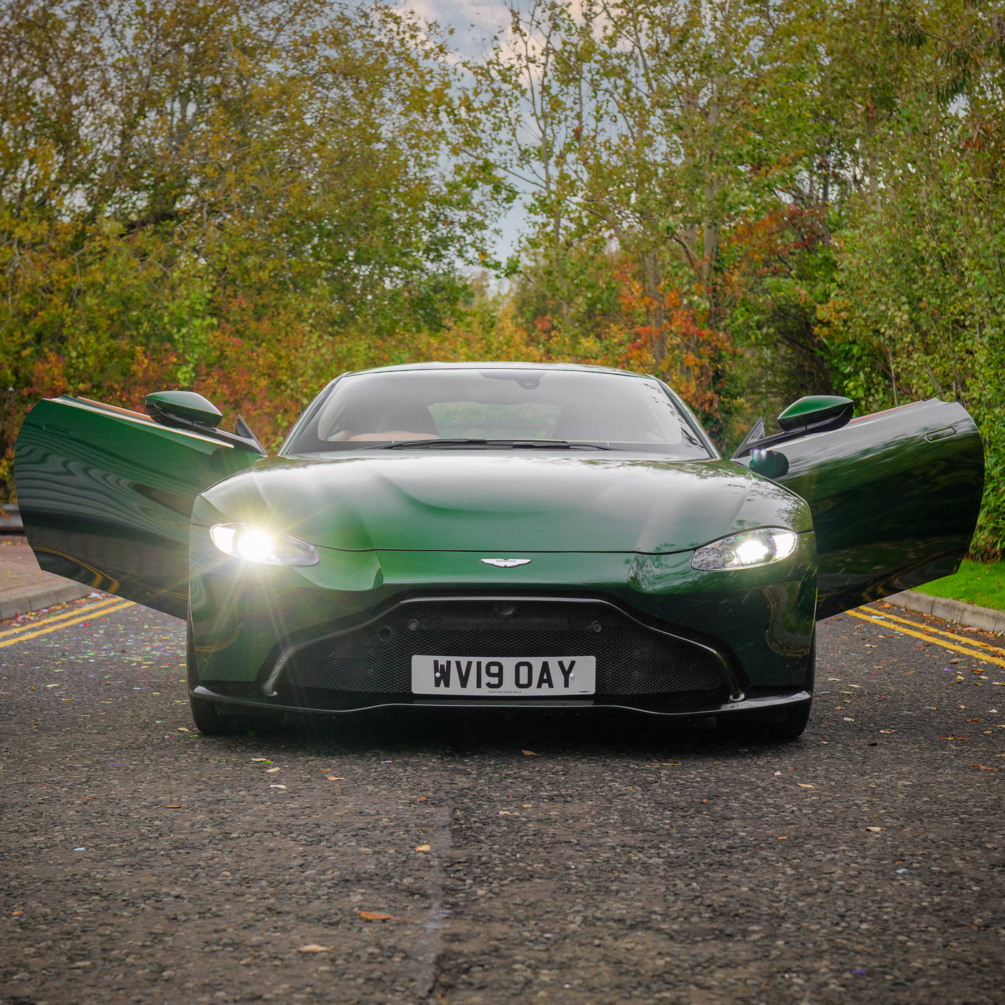 Immaculate Aston Martin V8 Vantage