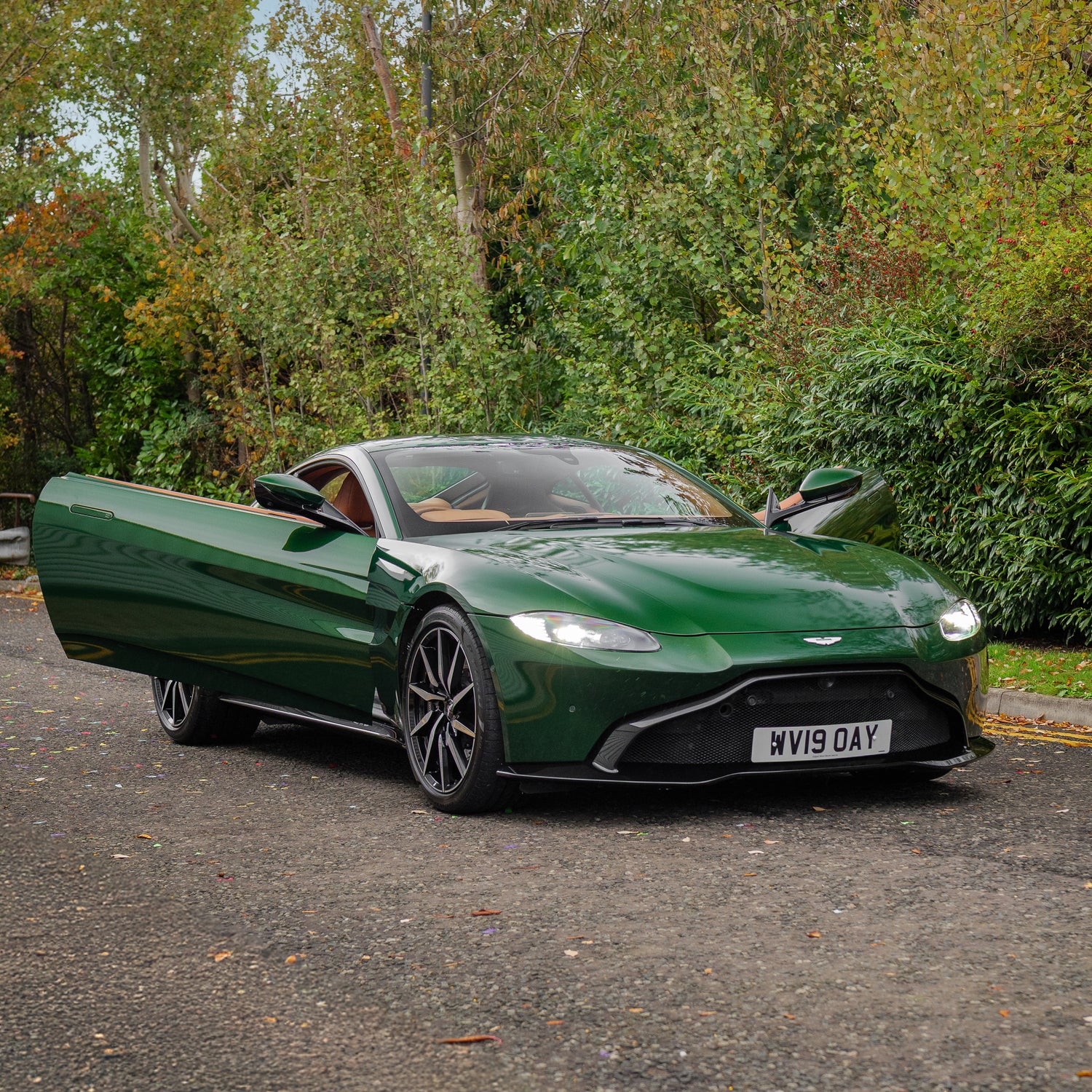 Immaculate Aston Martin V8 Vantage