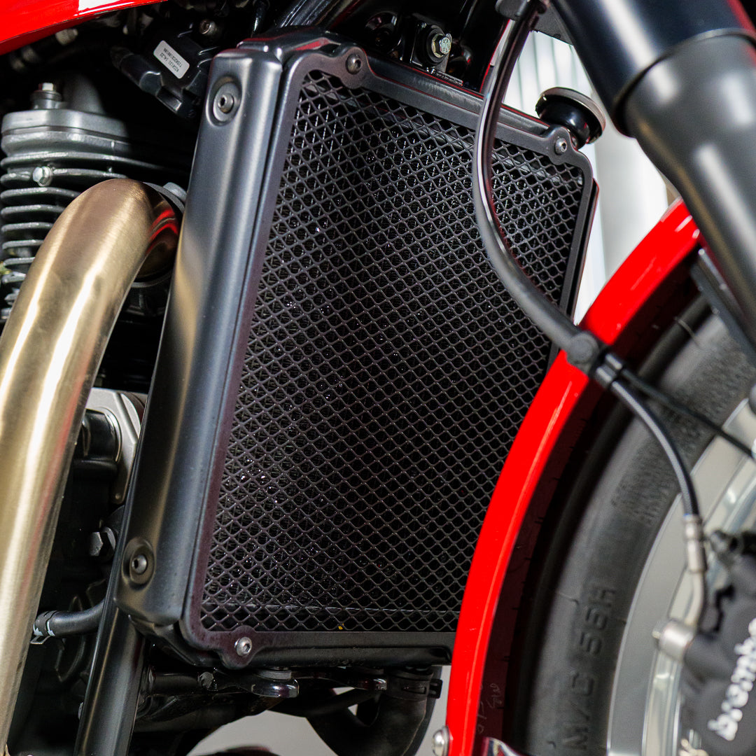 Stunning 2024 BSA Goldstar