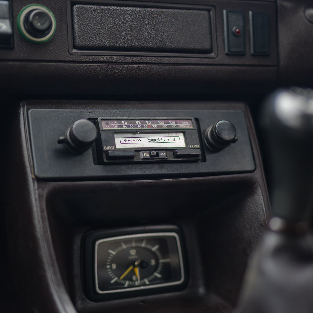 Kermit: 1981 Ford Escort Mk2