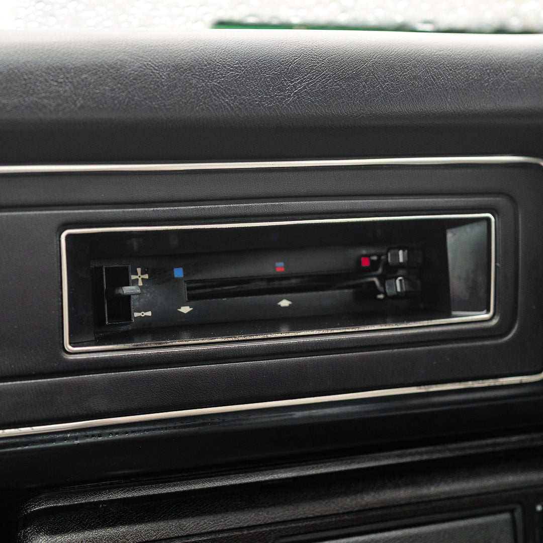 Kermit: 1981 Ford Escort Mk2