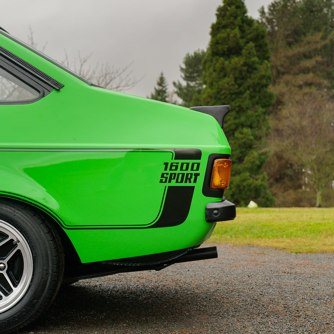 Kermit: 1981 Ford Escort Mk2