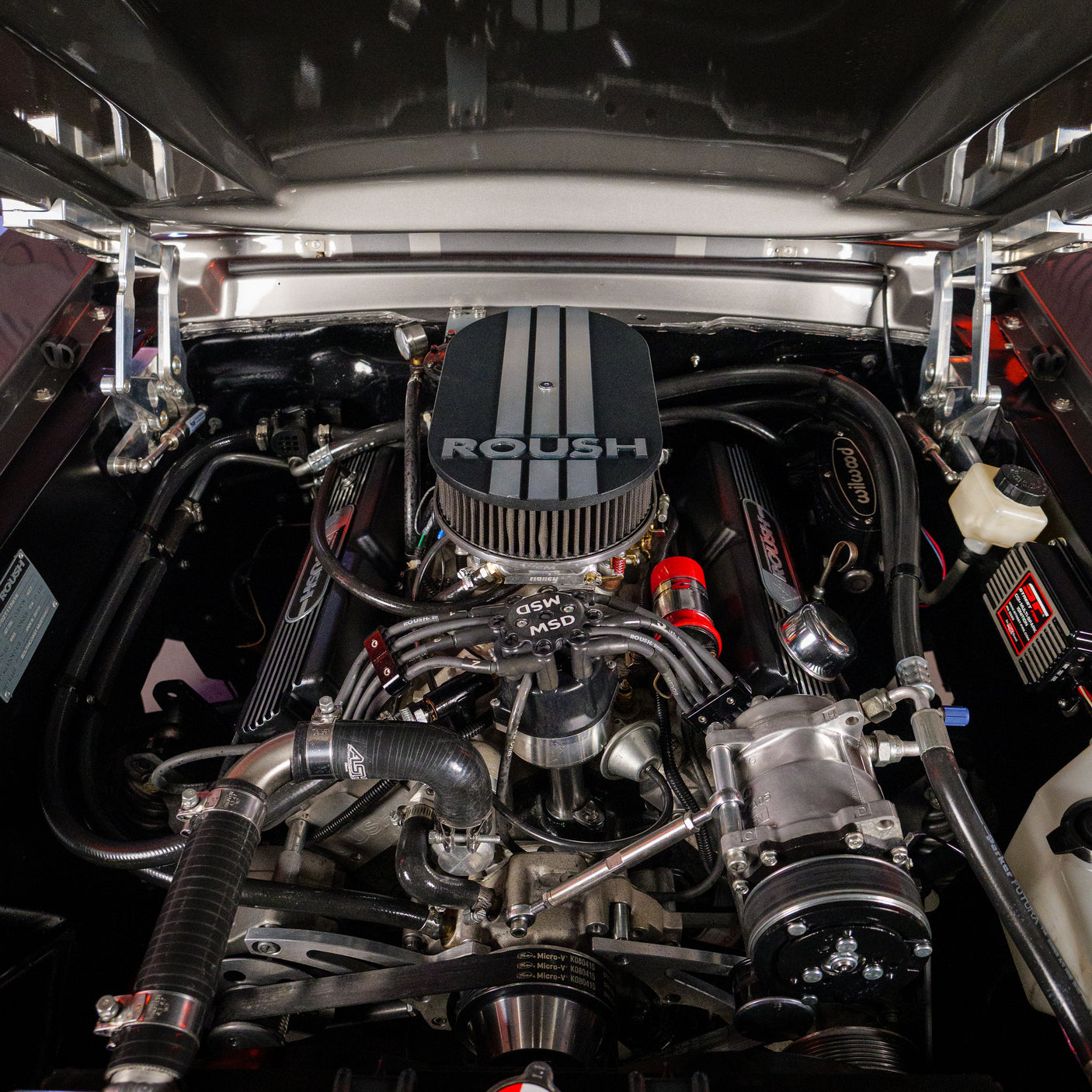 Fully Restored 1967 GT500E Eleanor-Inspired Ford Mustang