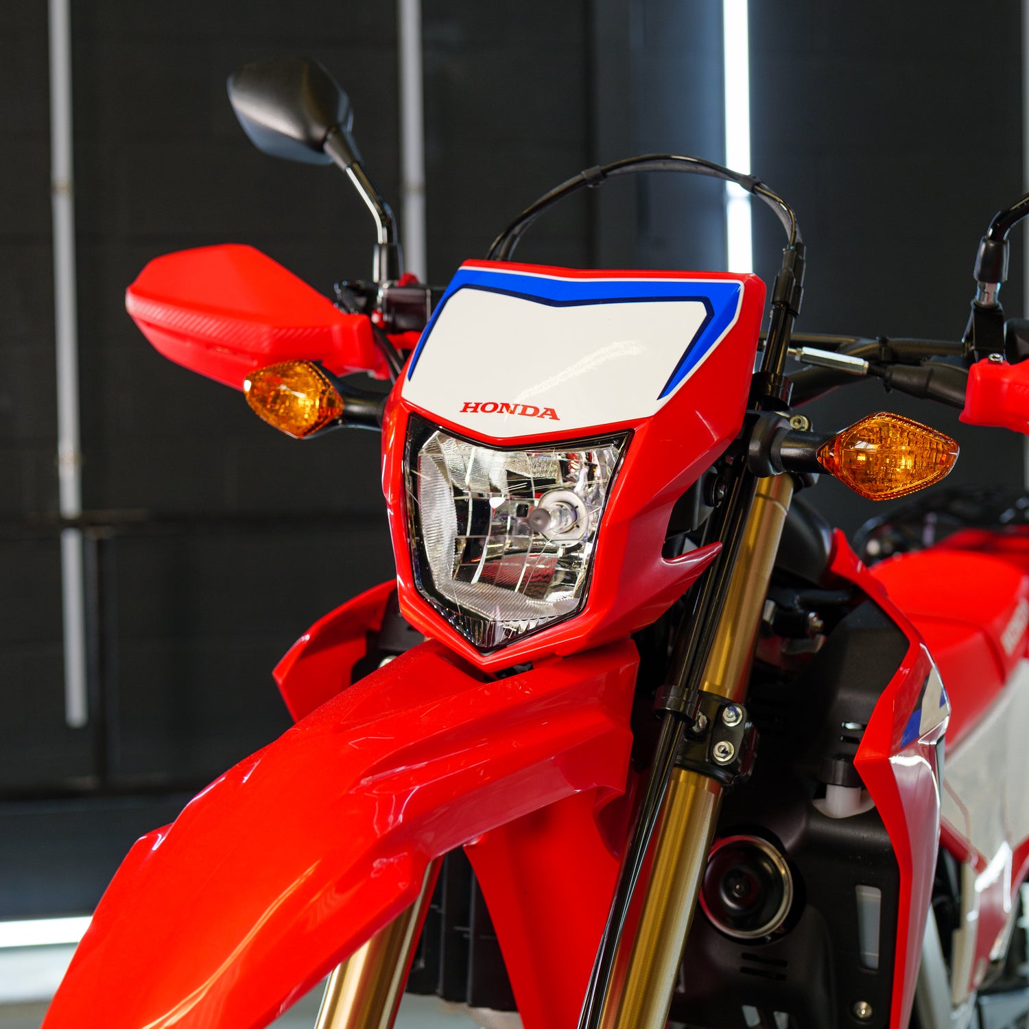 2024 Honda CRF300 Rally