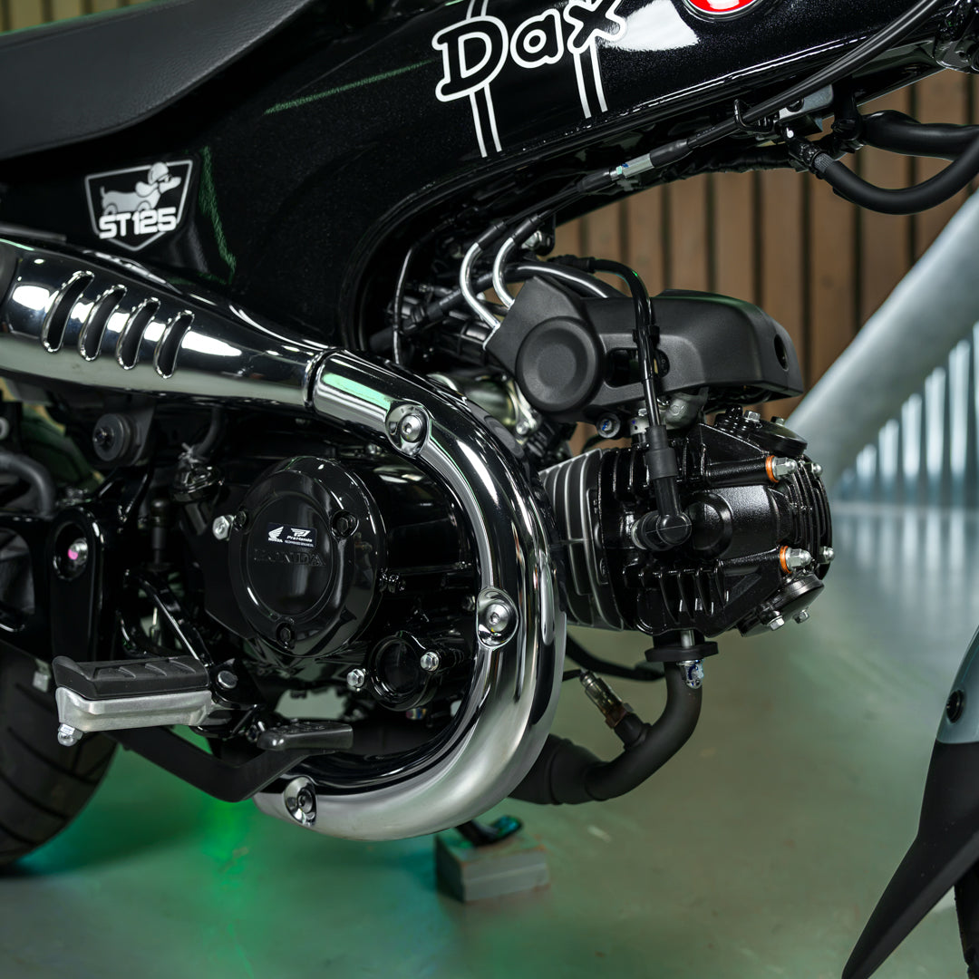 Brand new 2026 Honda Dax