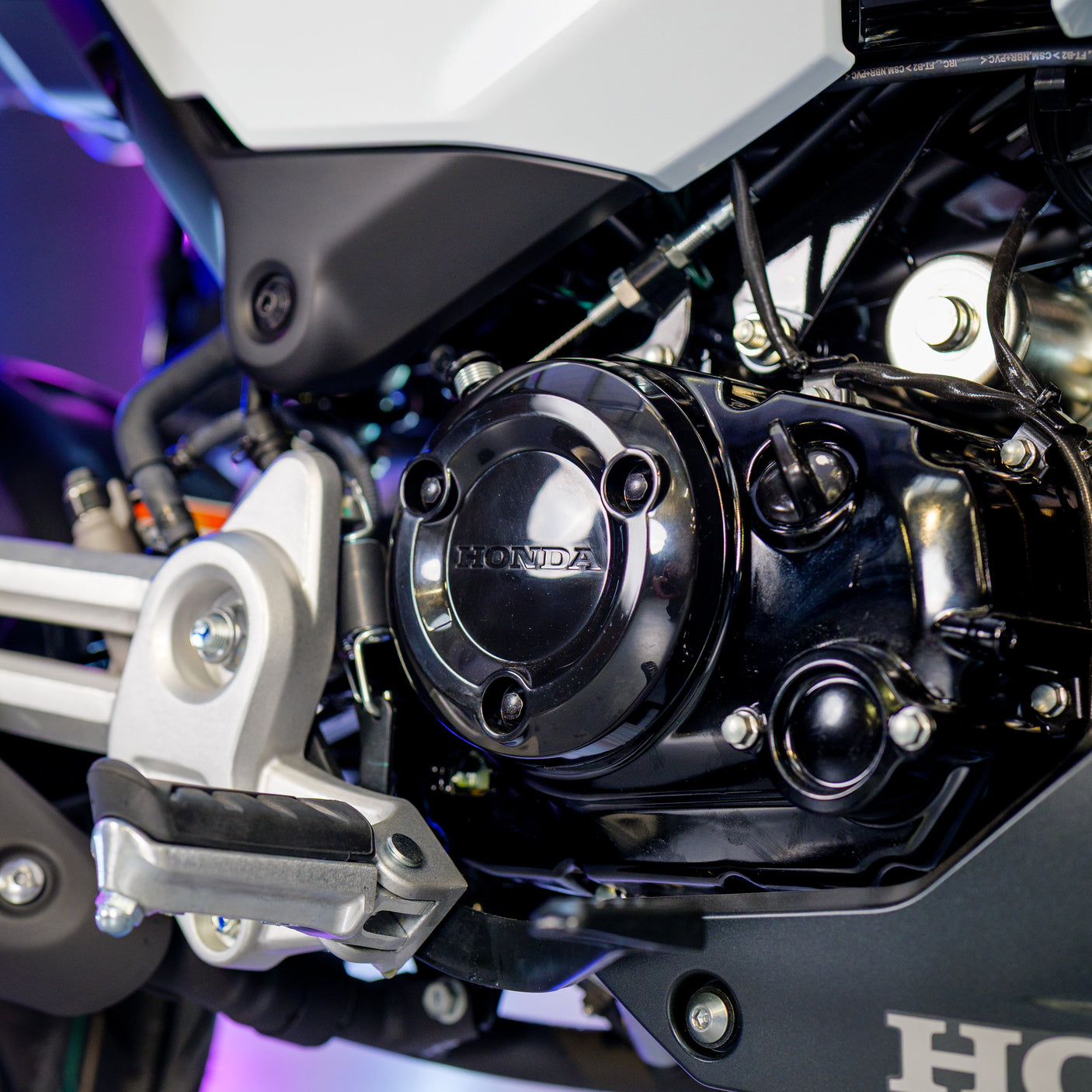 BRAND NEW Adventure Grom Honda MSX125