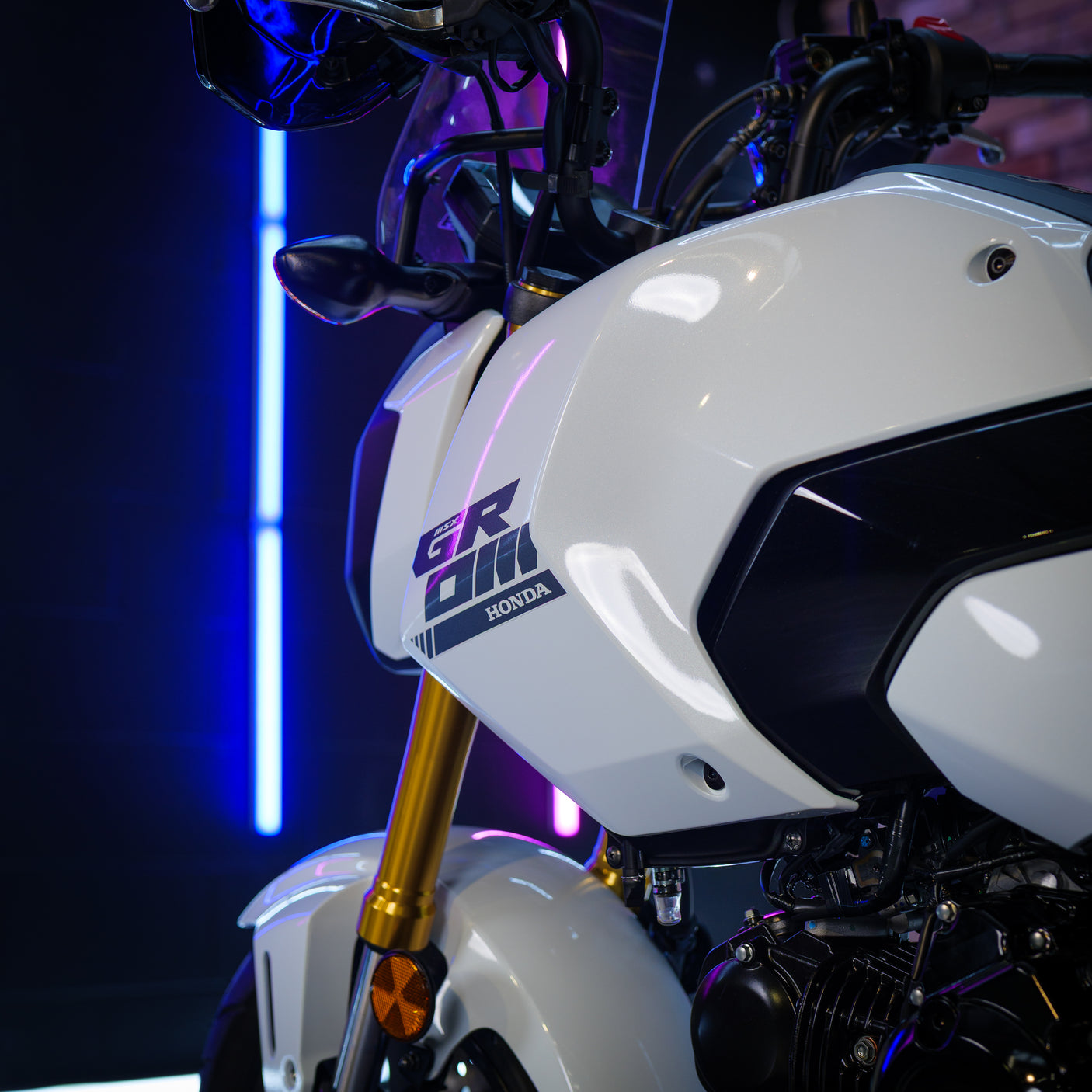 BRAND NEW Adventure Grom Honda MSX125