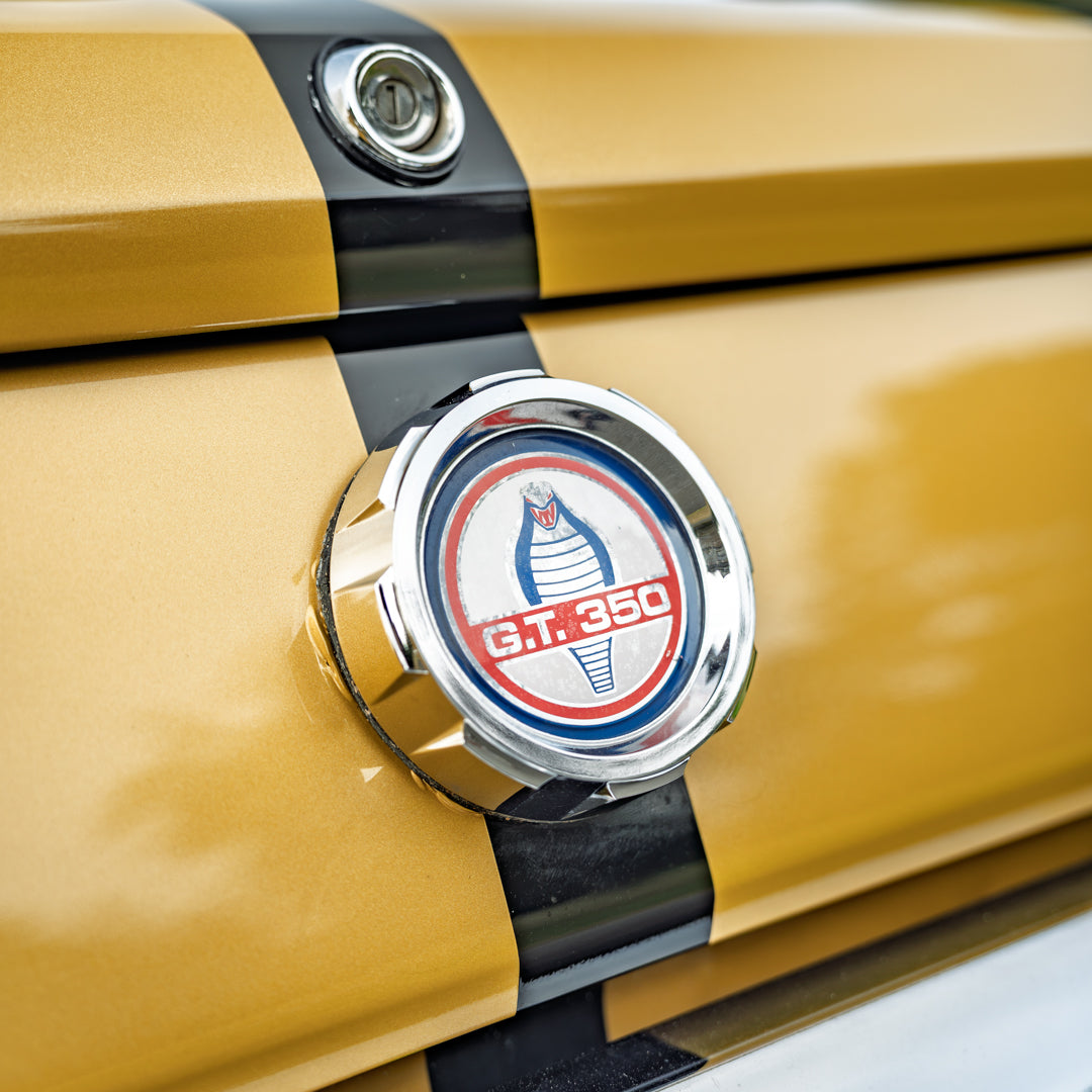 1965 Mustang Shelby 'Rent-A-Racer' recreation