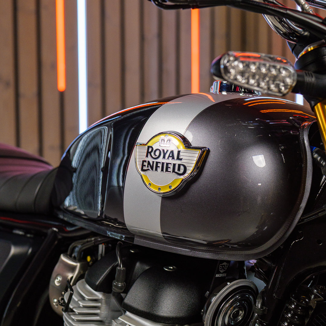 Royal Enfield Bear