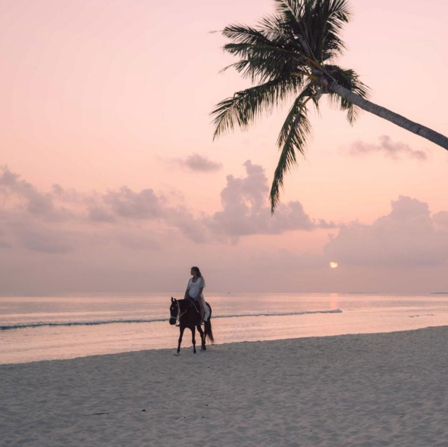 Luxury 10 night Maldives All inclusive Holiday with Water Villa for 2