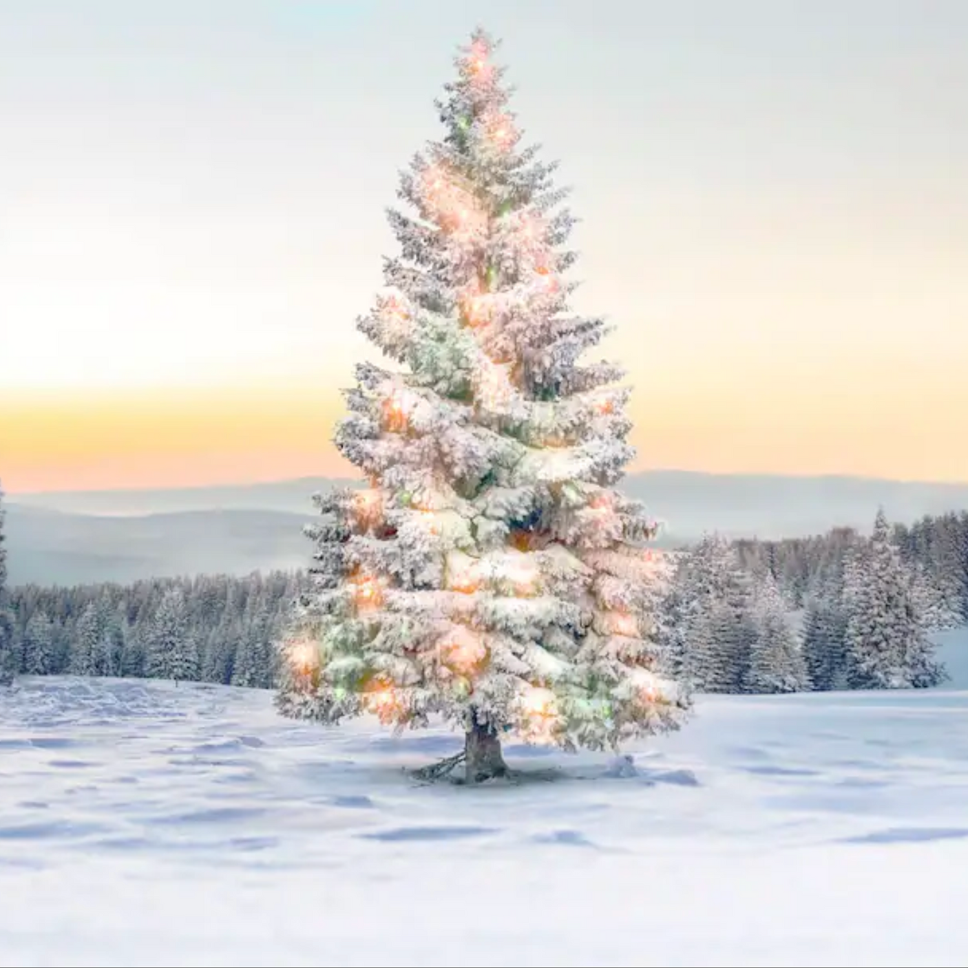 3 night Lapland Family Holiday for 4