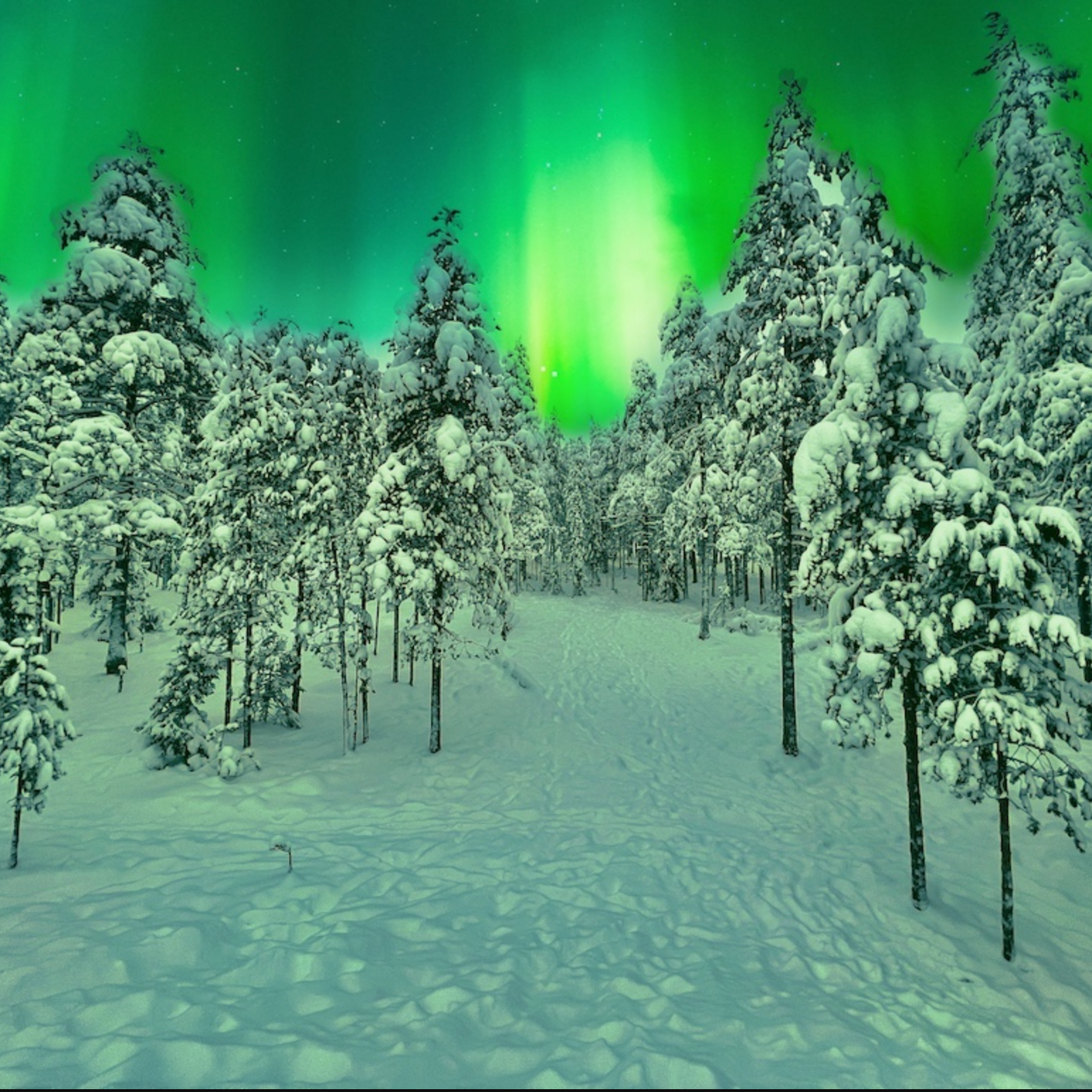 3 night Lapland Family Holiday for 4