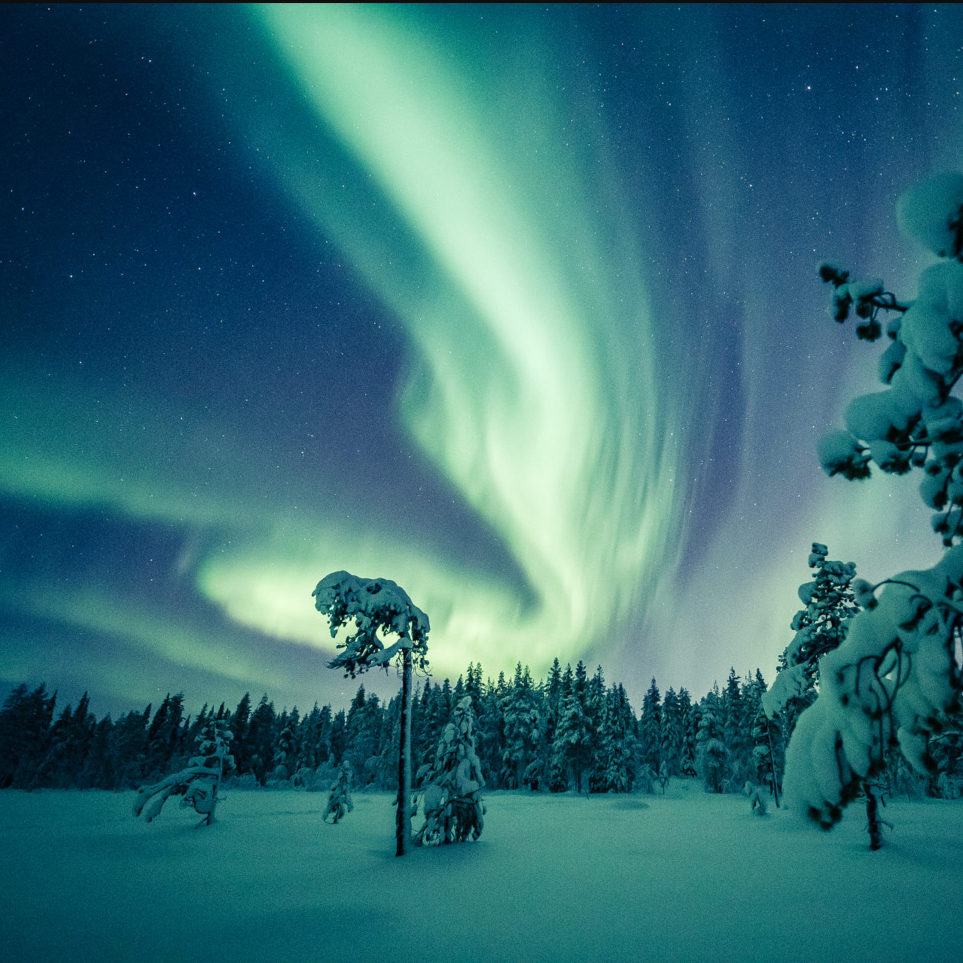 3 night Lapland Family Holiday for 4