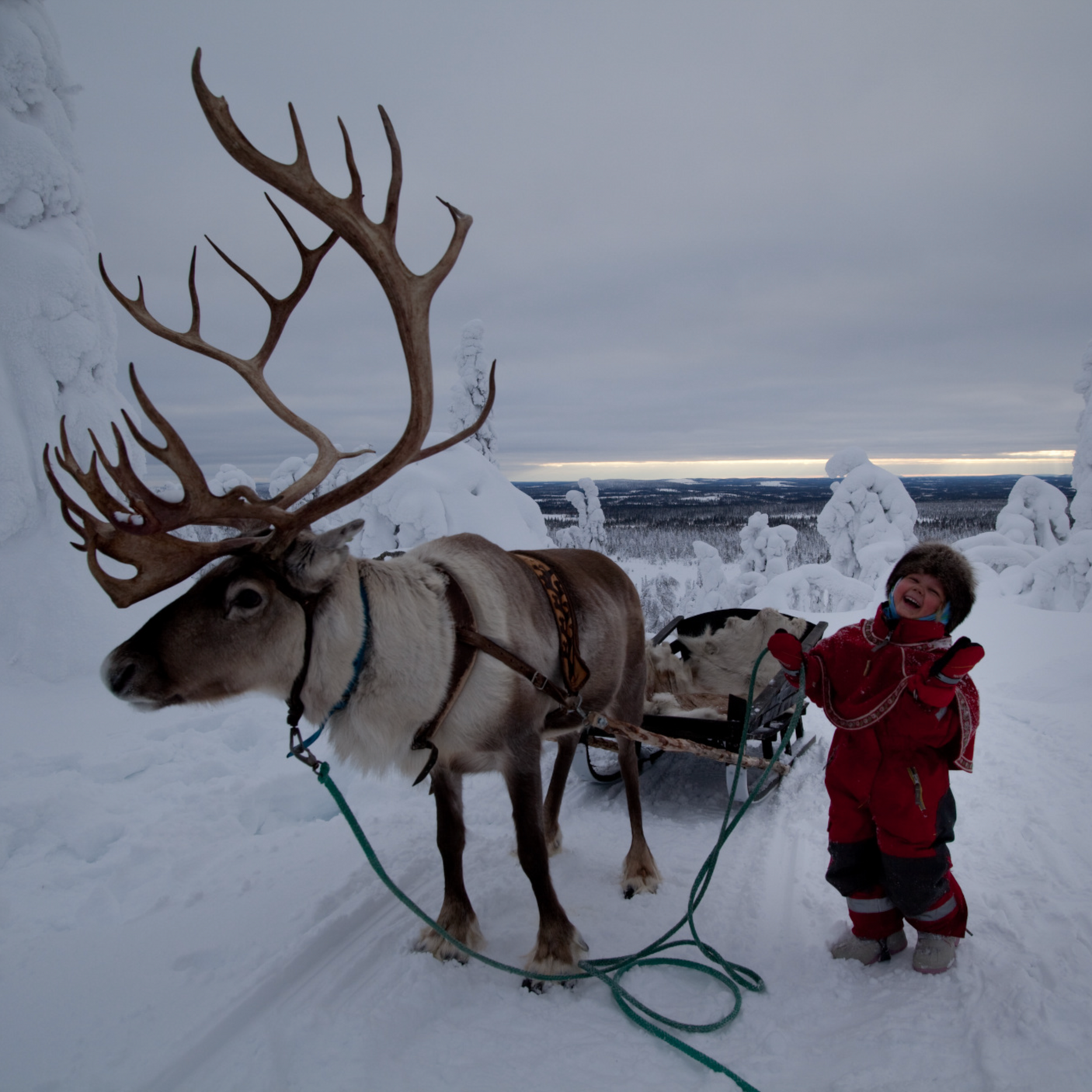 3 night Lapland Family Holiday for 4