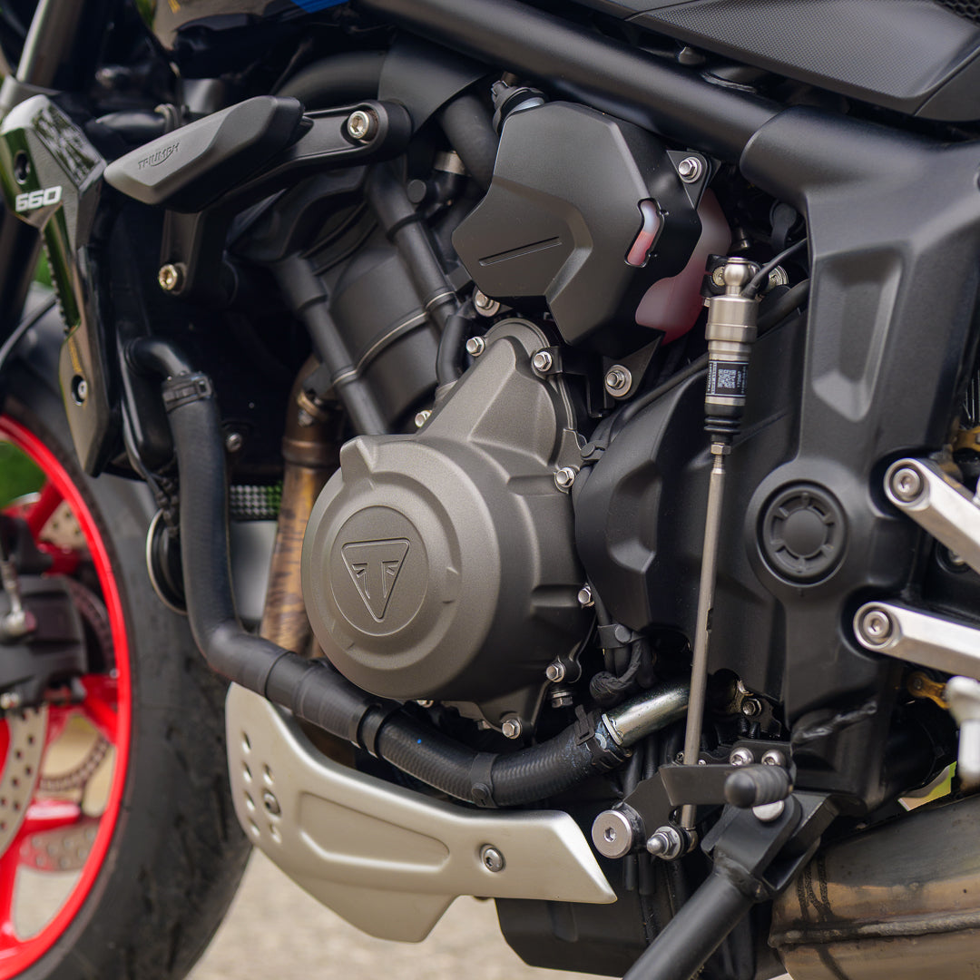 Triumph Trident 660 Triple Tribute