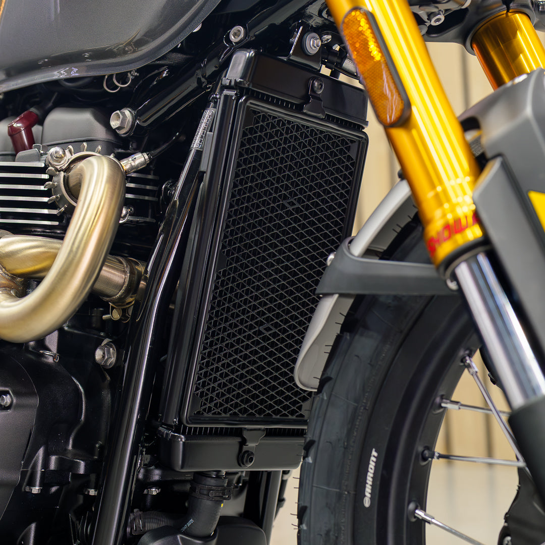 BRAND NEW Triumph Scrambler 900