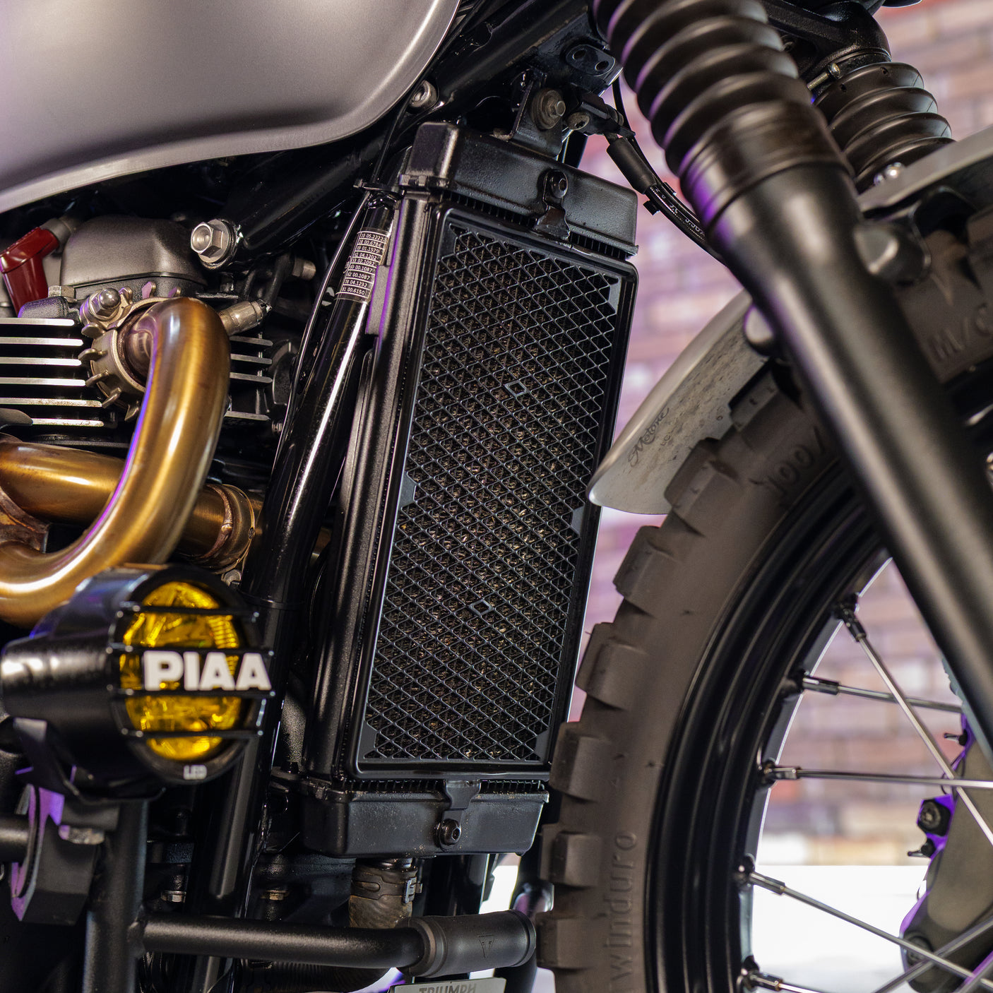 Custom 2023 Triumph Scrambler 900