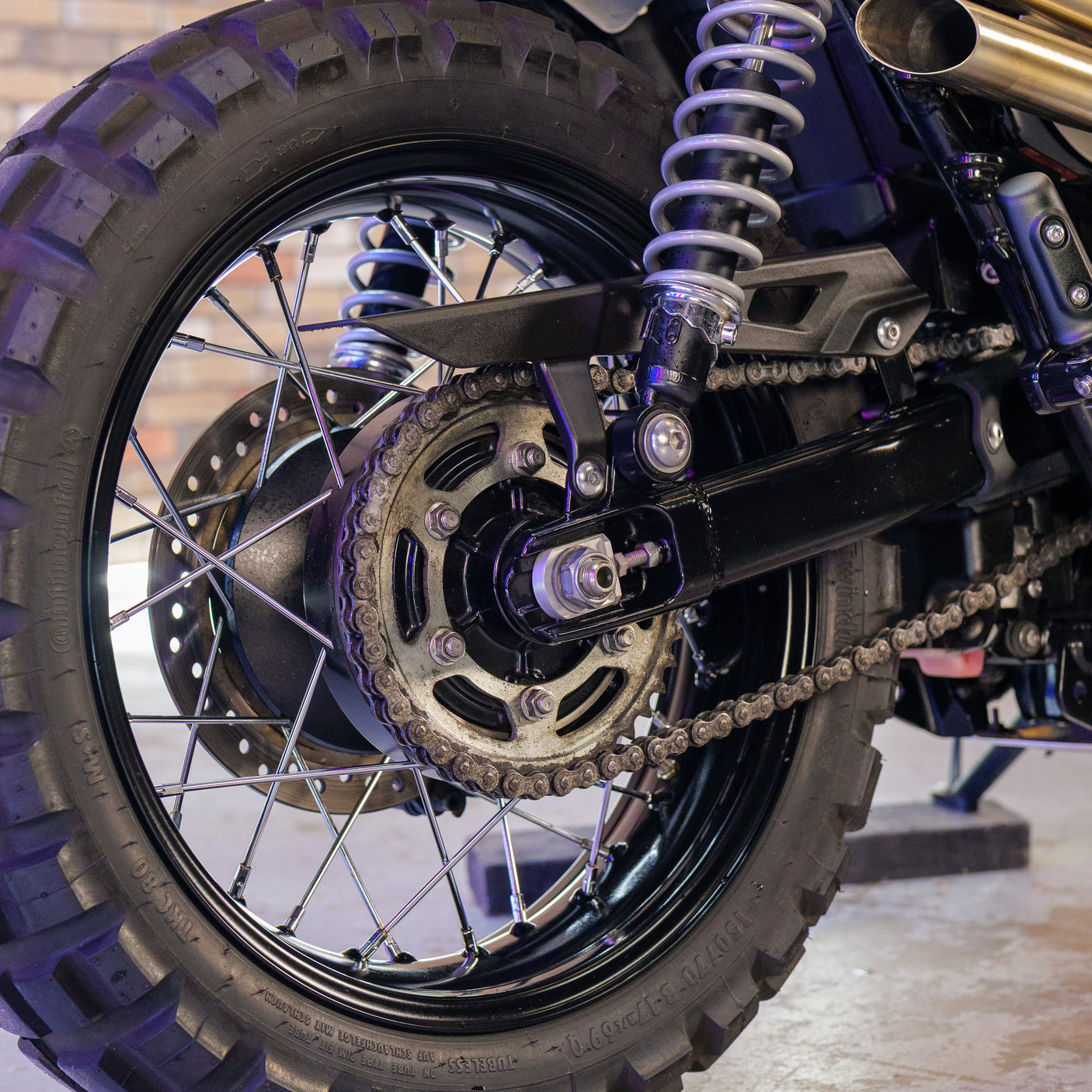 Custom 2023 Triumph Scrambler 900