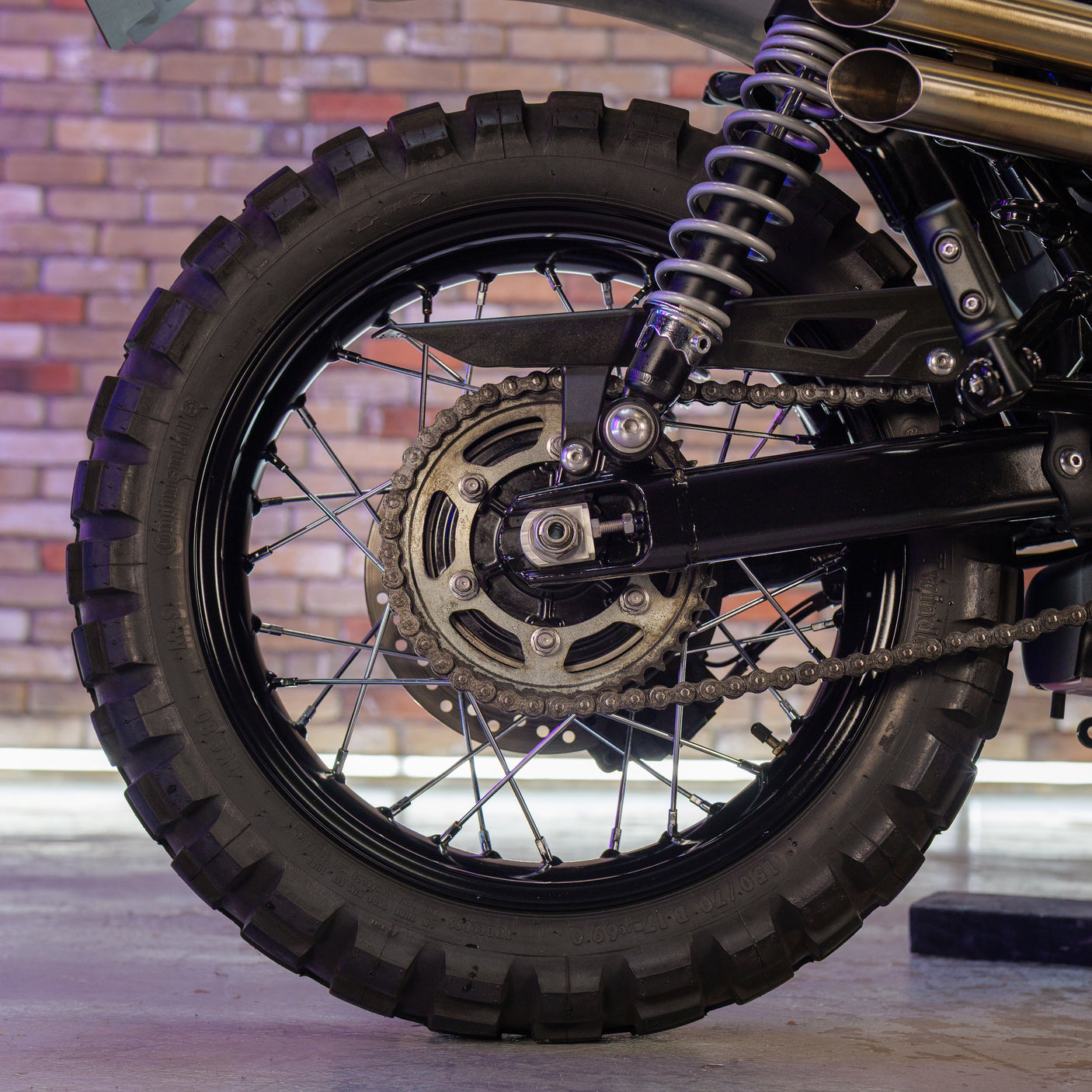Custom 2023 Triumph Scrambler 900