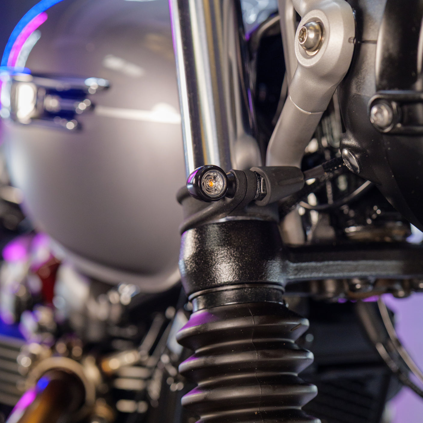 Custom 2023 Triumph Scrambler 900