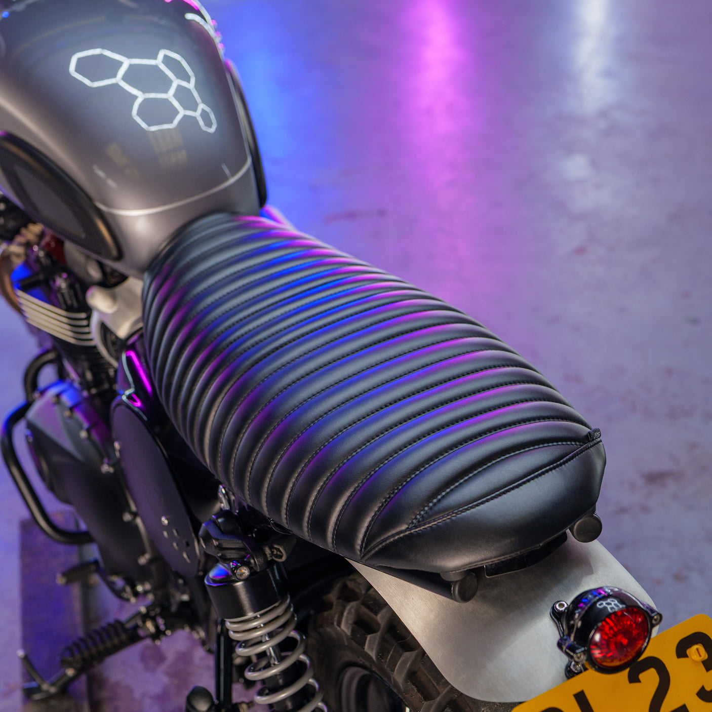 Custom 2023 Triumph Scrambler 900