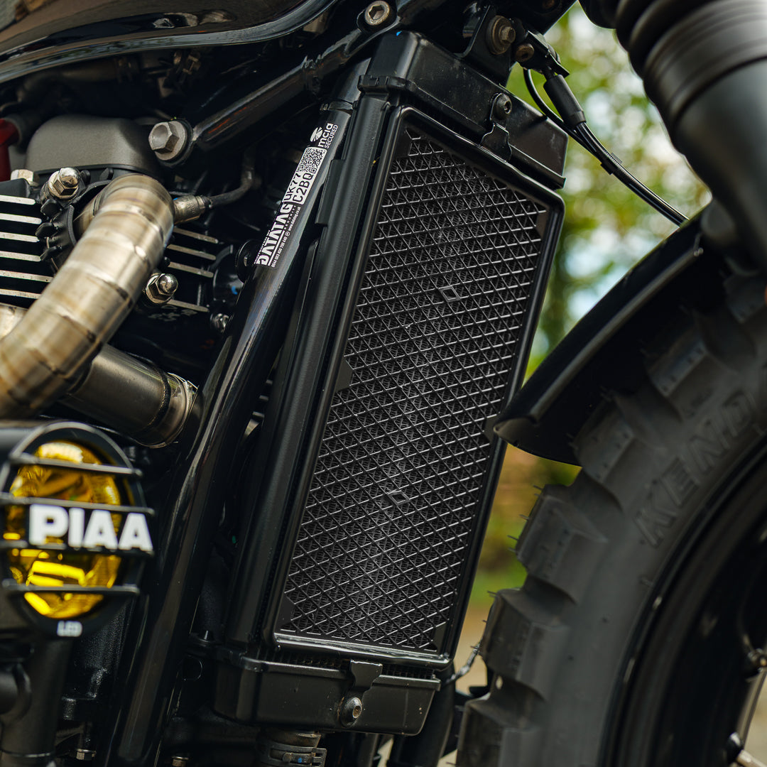 Custom Wide Wheel Triumph Scrambler 900