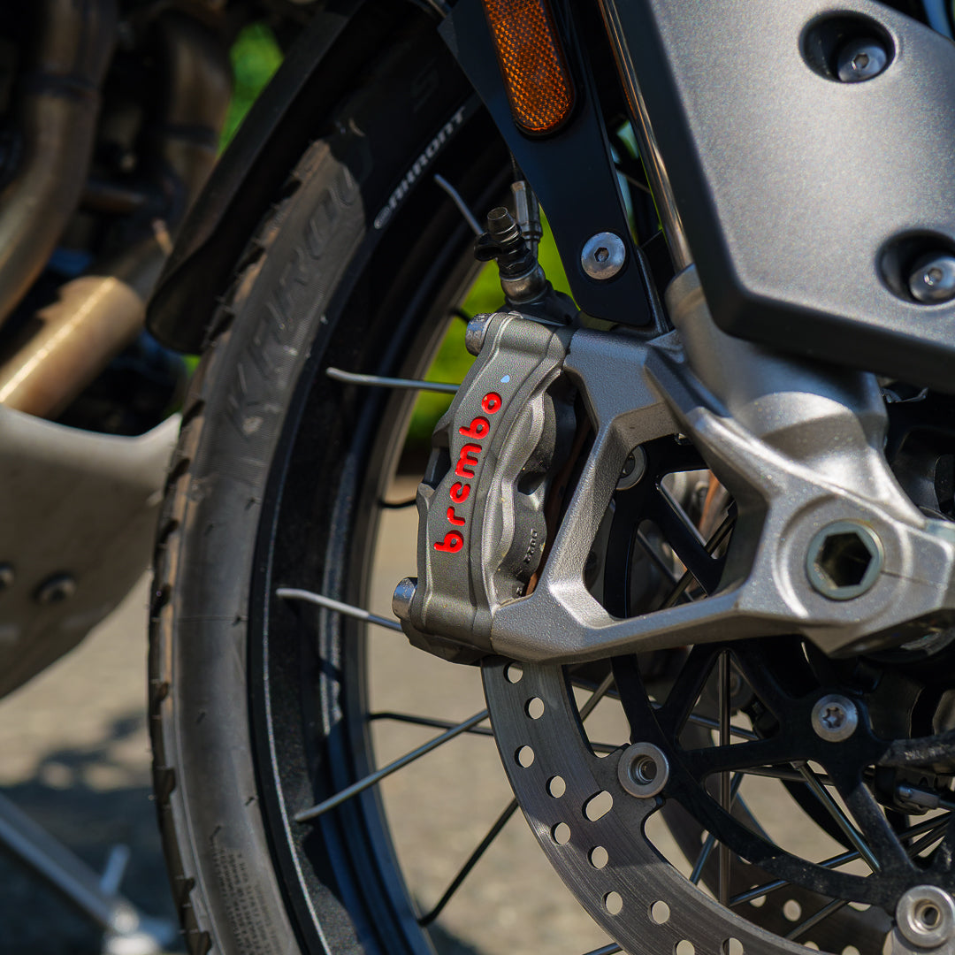 2024 Triumph Tiger 1200 Rally Pro