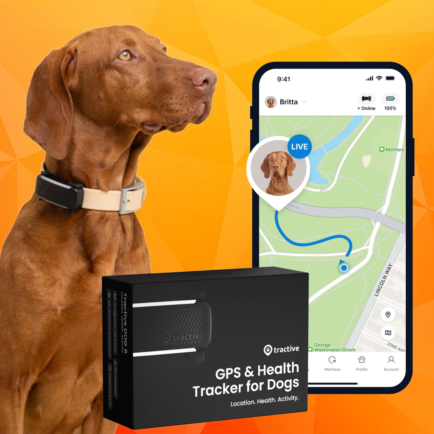 Tractive Smart Dog Tracker + PREMIUM Fitness Subscription