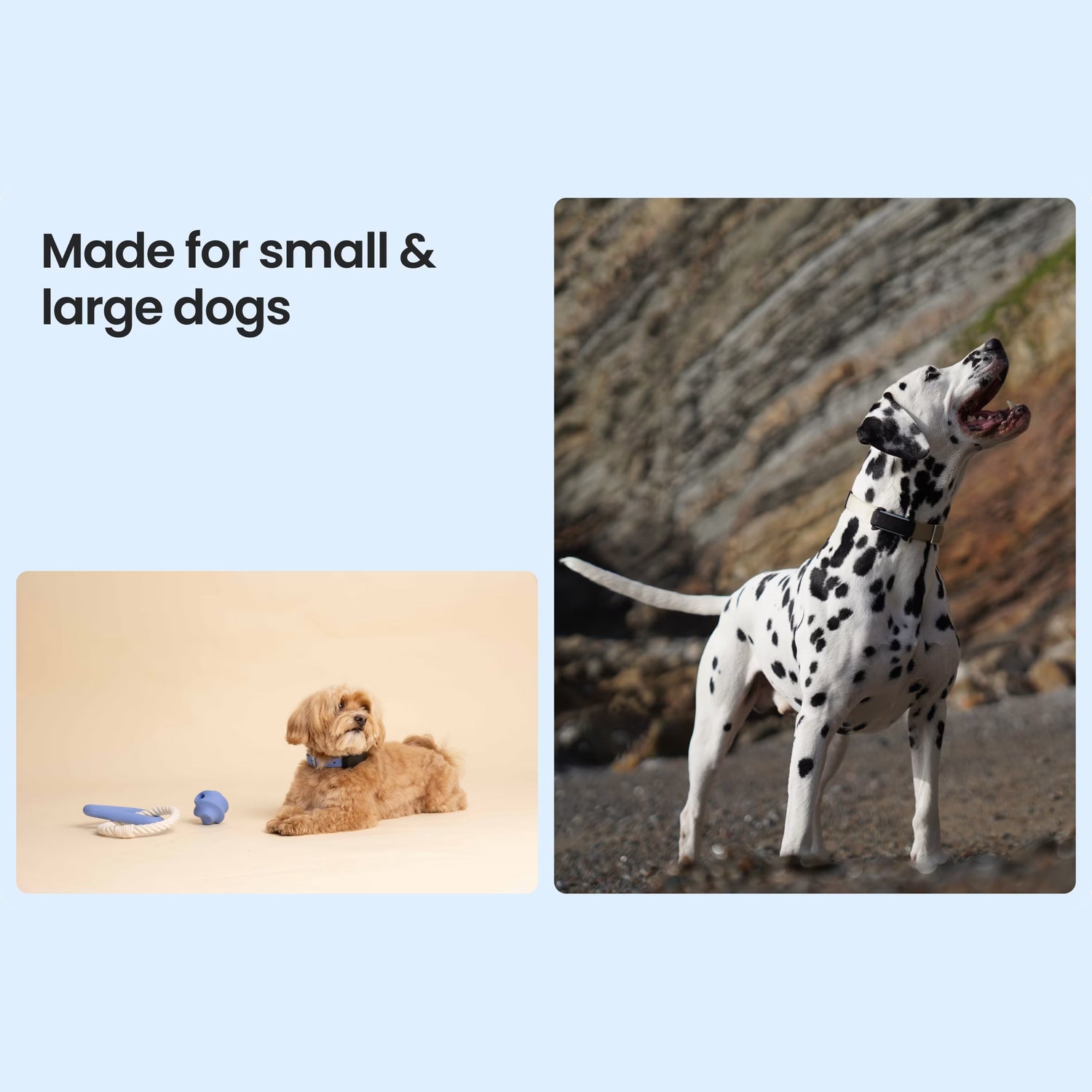 Tractive Smart Dog Tracker + PREMIUM Fitness Subscription