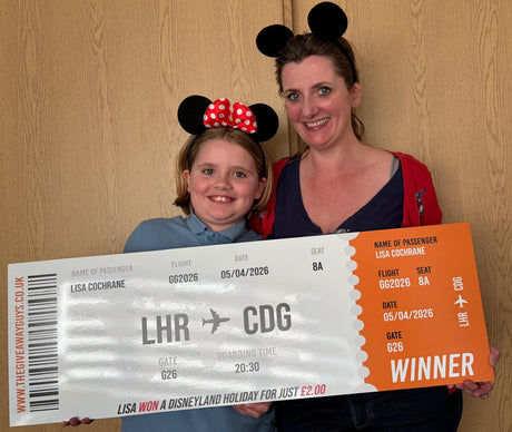 Disneyland Holiday