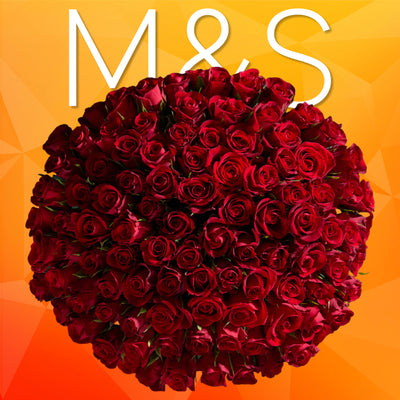 M&S Valentine's 100 Romantic Red Roses Bouquet