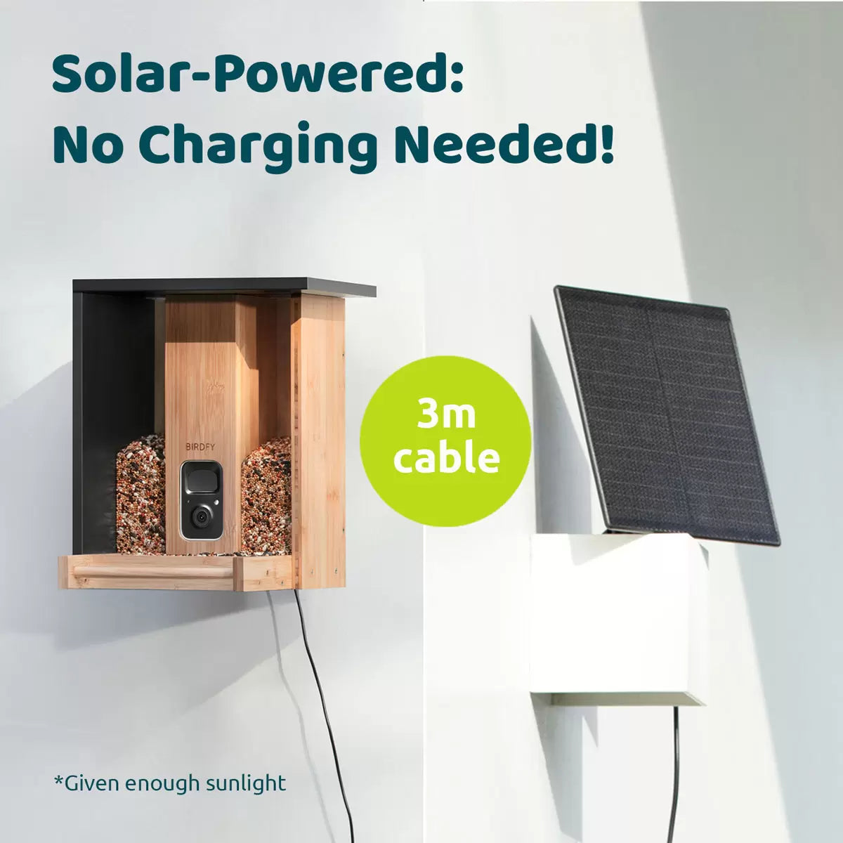 Birdfy Bamboo Bird Feeder with Camera & Solar Panel - 12th Aug 25