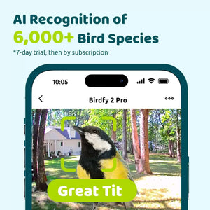 Birdfy 2 Pro Dual-Lens Smart Bird Feeder + Solar Panel