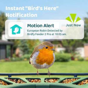 Birdfy 2 Pro Dual-Lens Smart Bird Feeder + Solar Panel