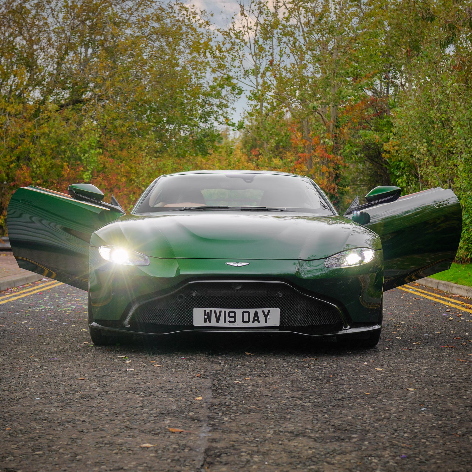 Immaculate Aston Martin V8 Vantage