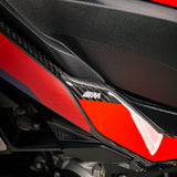 2025 BMW M1000XR