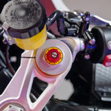 BMW S1000RR Motorsport Colours