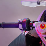 BMW S1000RR Motorsport Colours