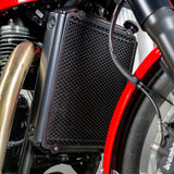 Stunning 2024 BSA Goldstar