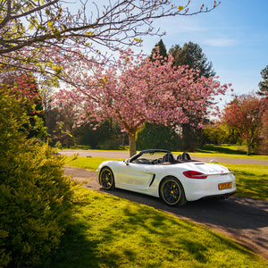 Porsche Boxster 981