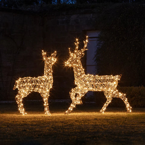 LOW ODDS - Rattan Stag & Doe Light Up Reindeer Duo 24v - Dec 3rd