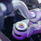 Loaded Ducati Desert X