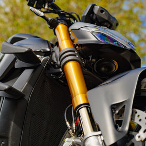 2023 Ducati Streetfighter v4S