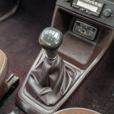 Kermit: 1981 Ford Escort Mk2