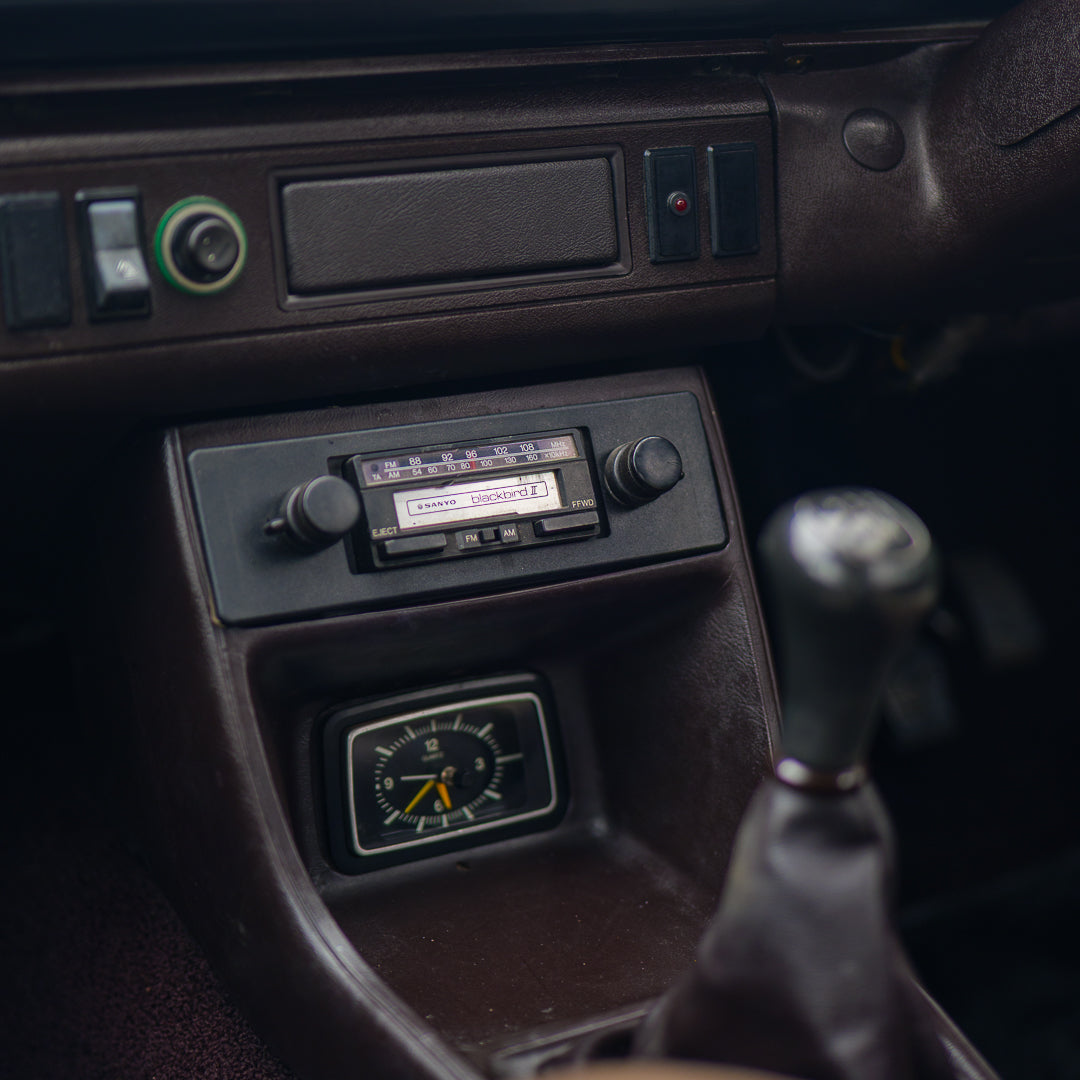 Kermit: 1981 Ford Escort Mk2