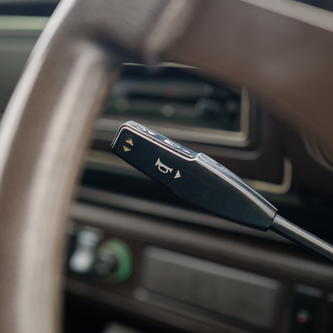 Kermit: 1981 Ford Escort Mk2