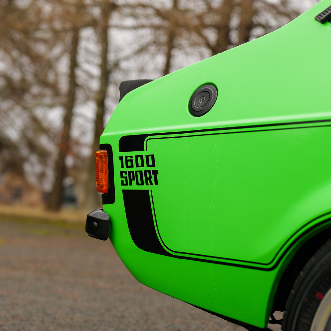 Kermit: 1981 Ford Escort Mk2