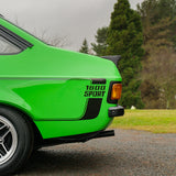 Kermit: 1981 Ford Escort Mk2