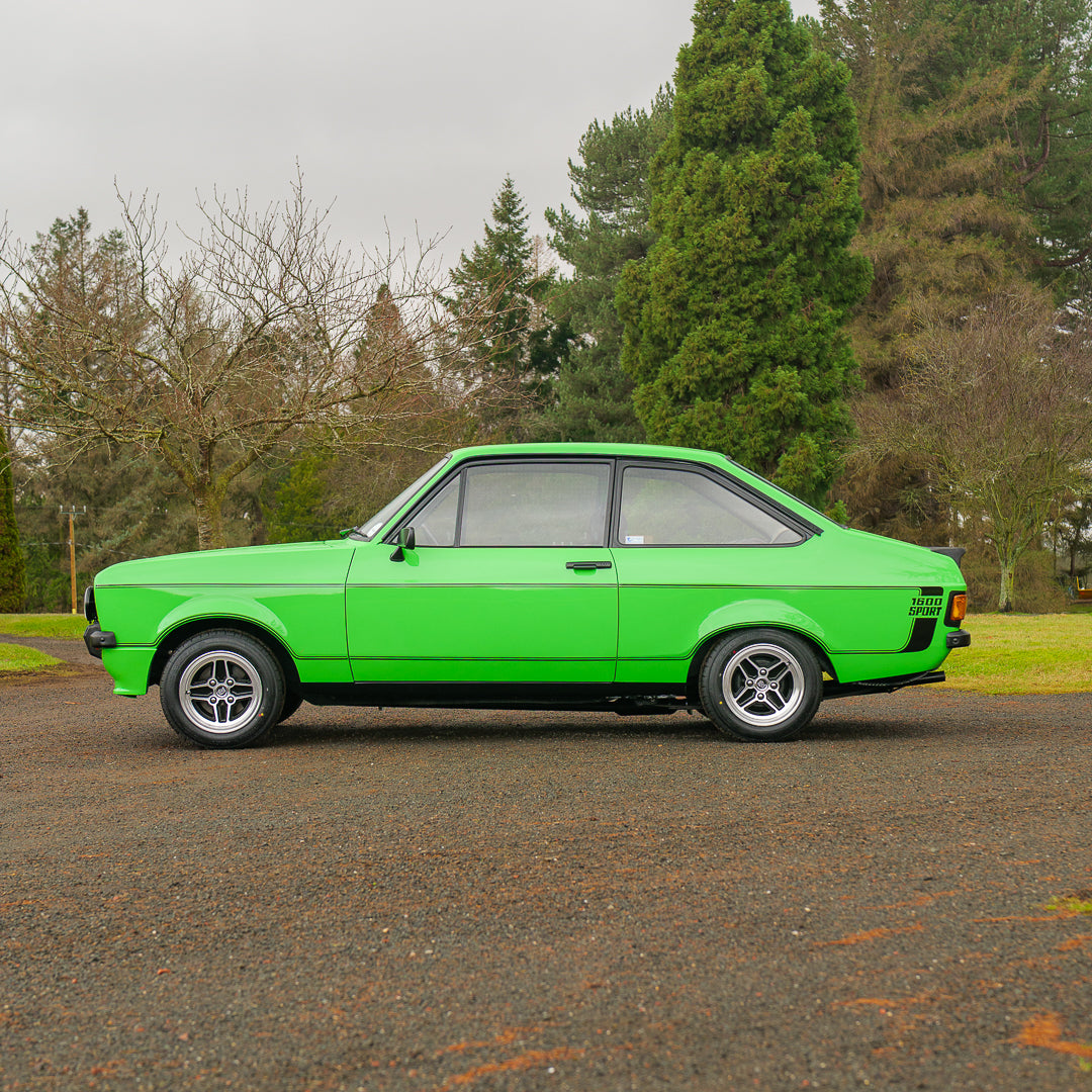 Kermit: 1981 Ford Escort Mk2